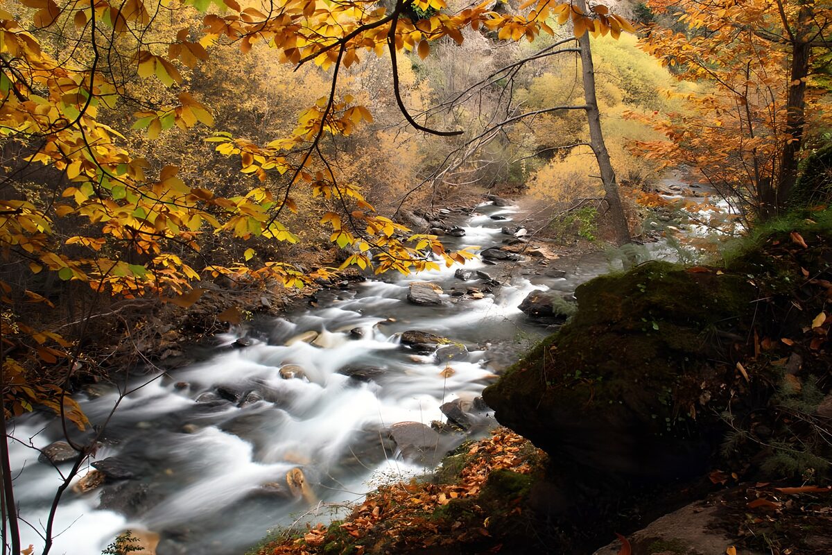 TPES87973: Arroyo entre rocas en otoño