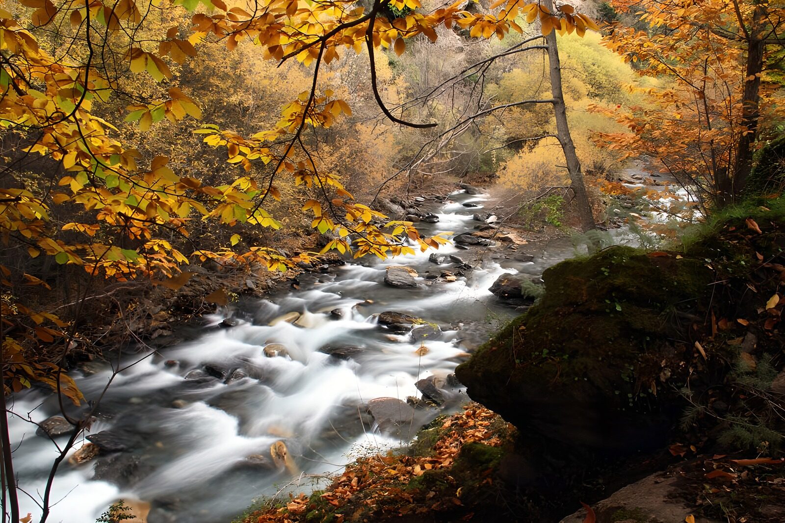 TPES87973: Arroyo entre rocas en otoño