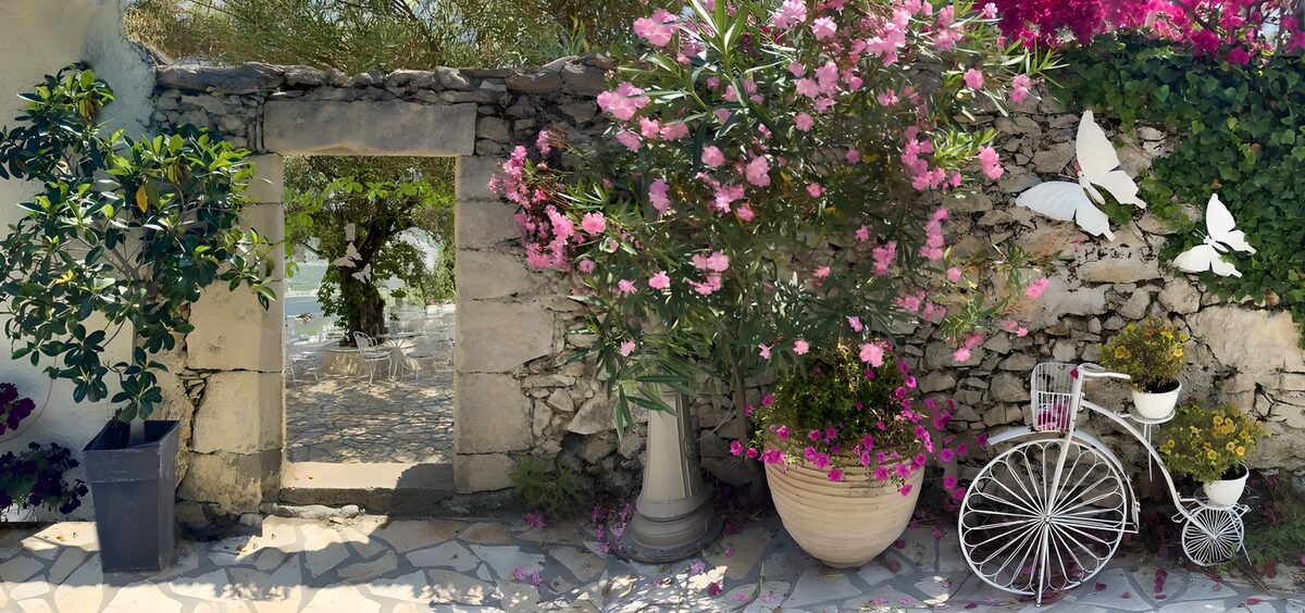 Patio soleado con flores rosas