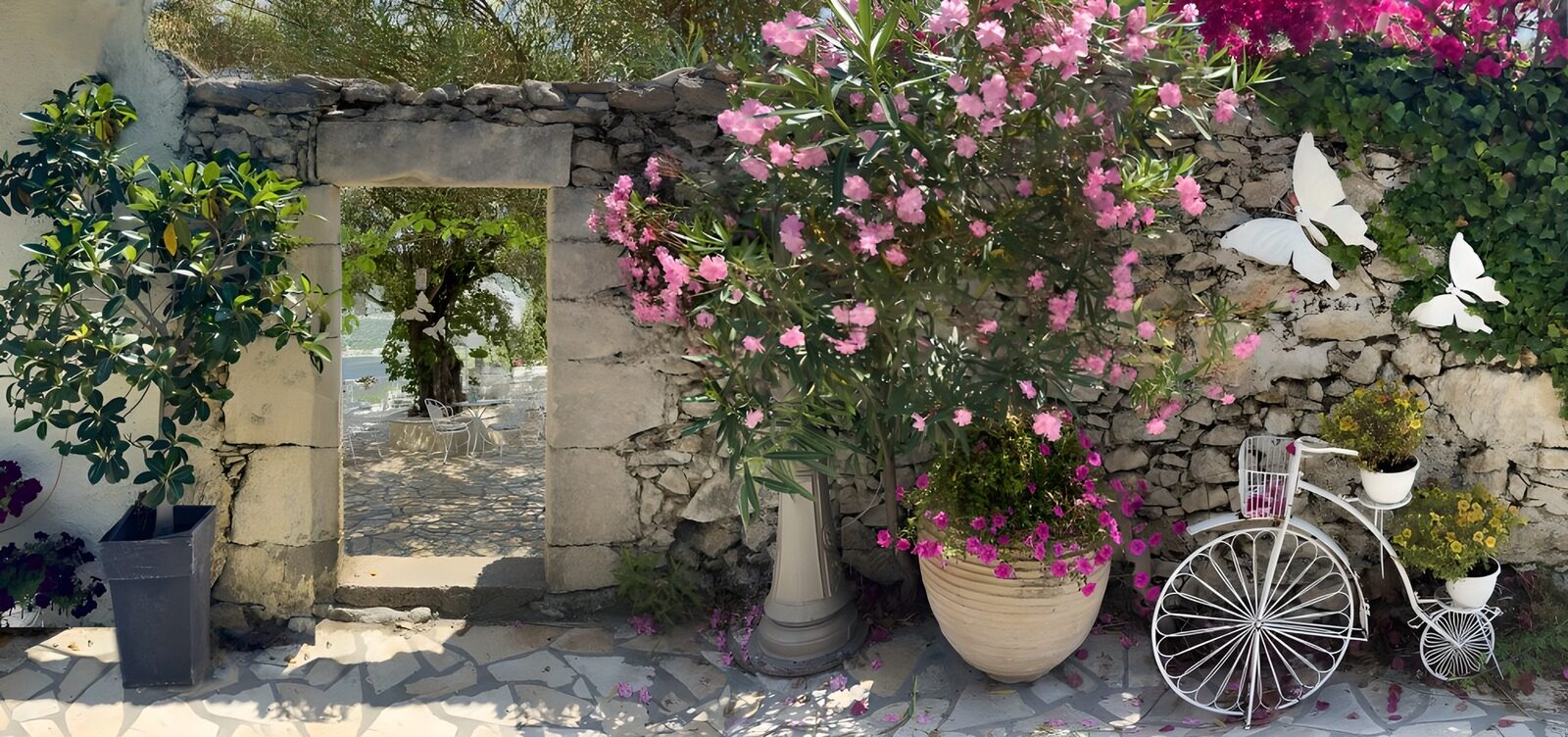TPES70114: Patio soleado con flores rosas