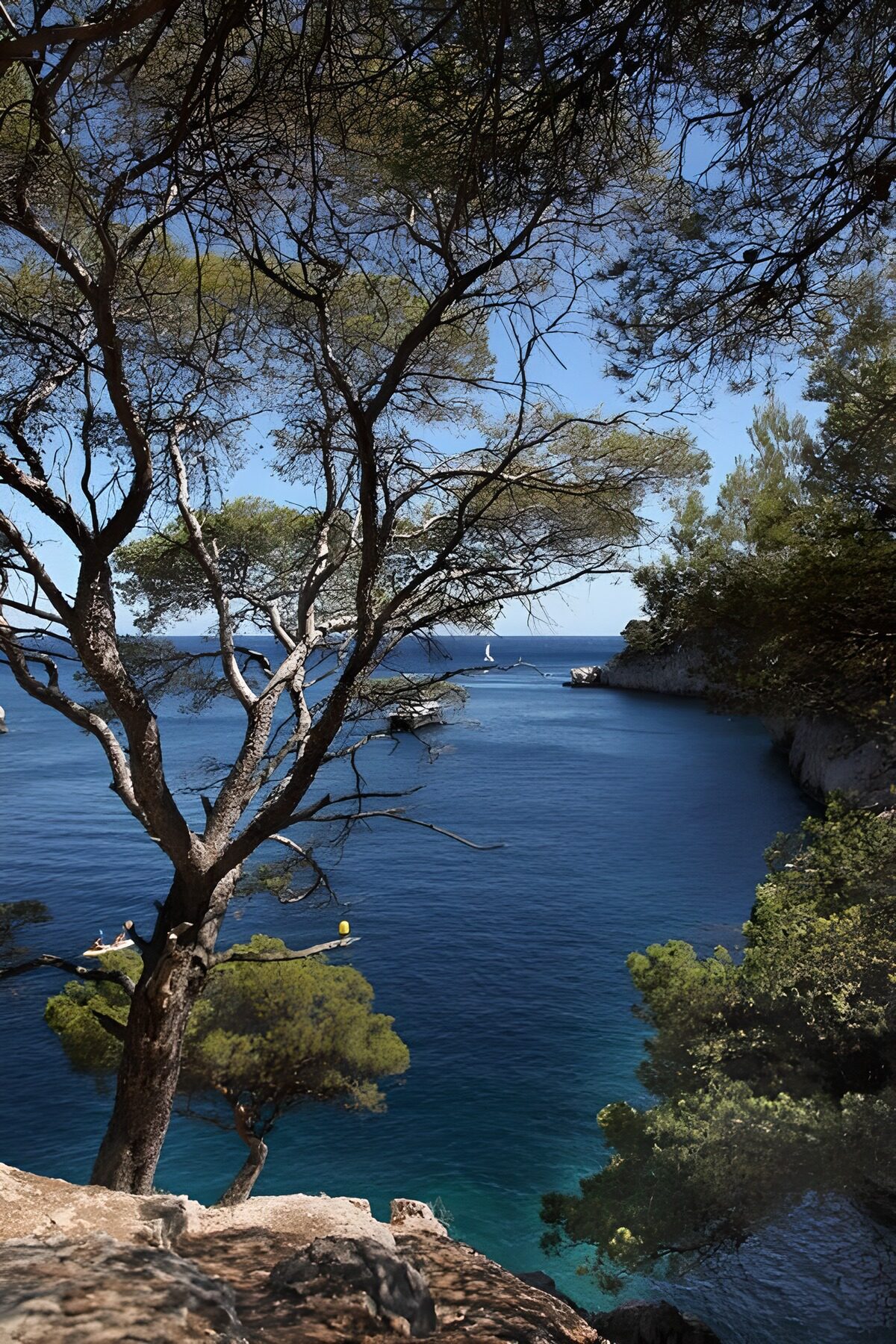 TPES97137: Cala turquesa entre rocas y pinos