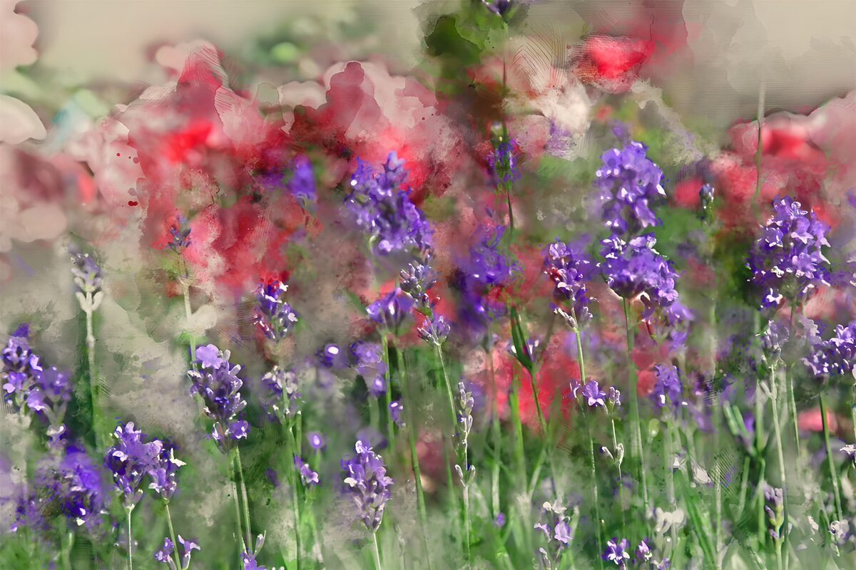 Lavanda y flores rosas en acuarela