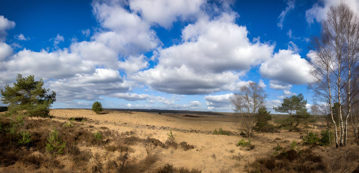 TPES18601: Brezal arenoso bajo grandes nubes