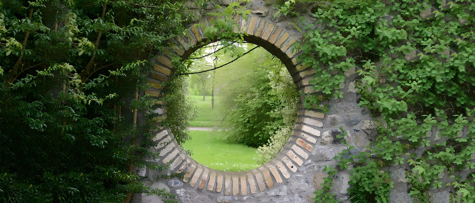 TPES27991: Ventana circular a un jardín verde