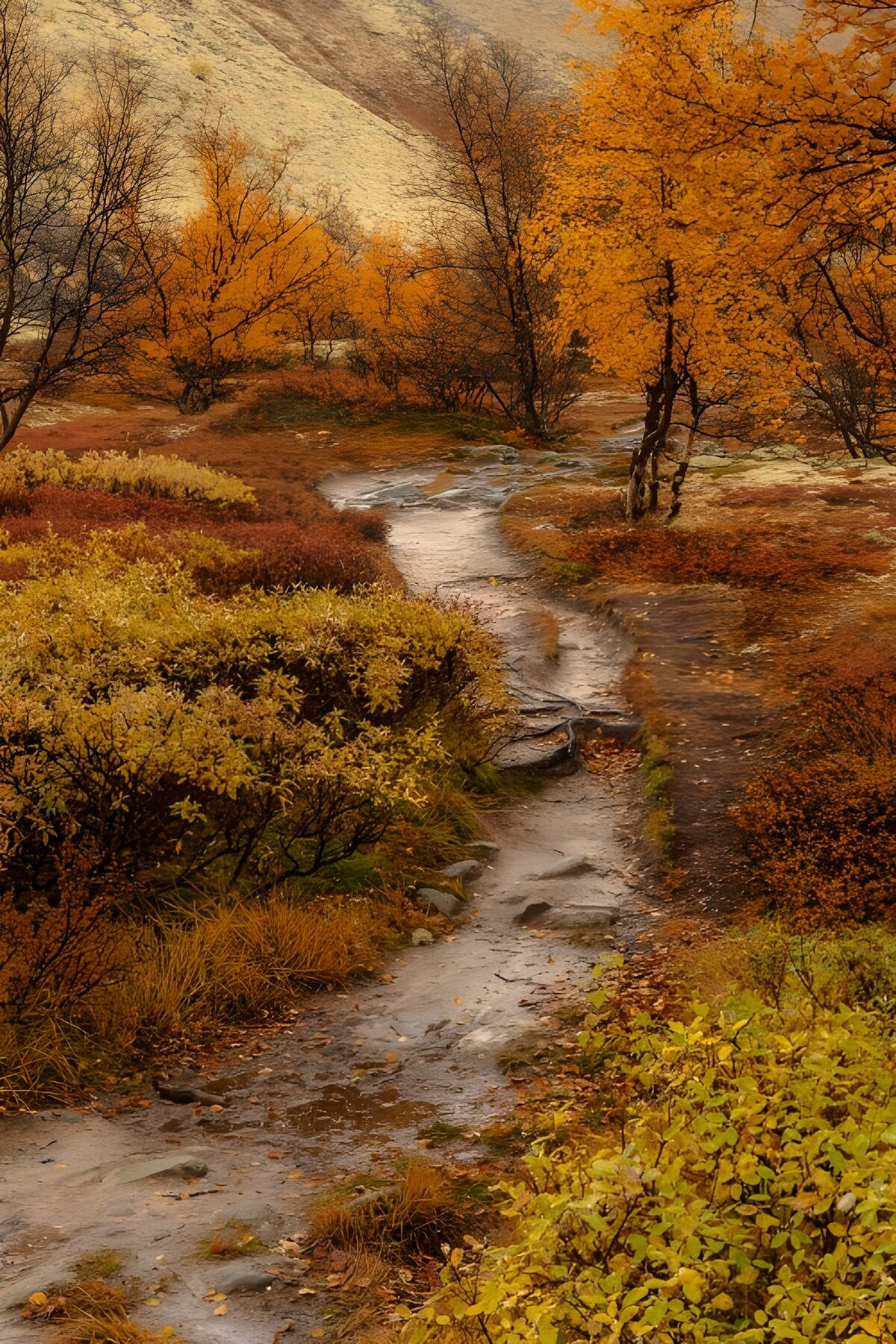 TPES10833: Sendero embarrado en el bosque otoñal