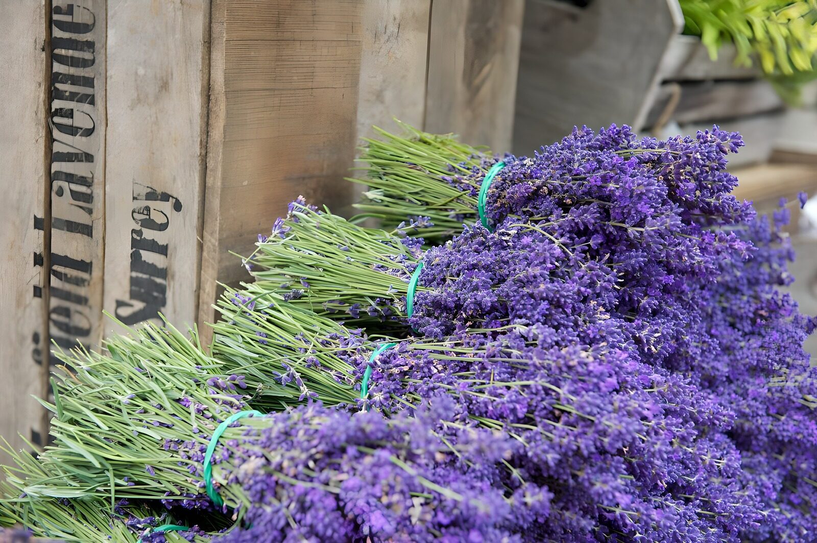 TPES17897: Ramos de lavanda y madera envejecida