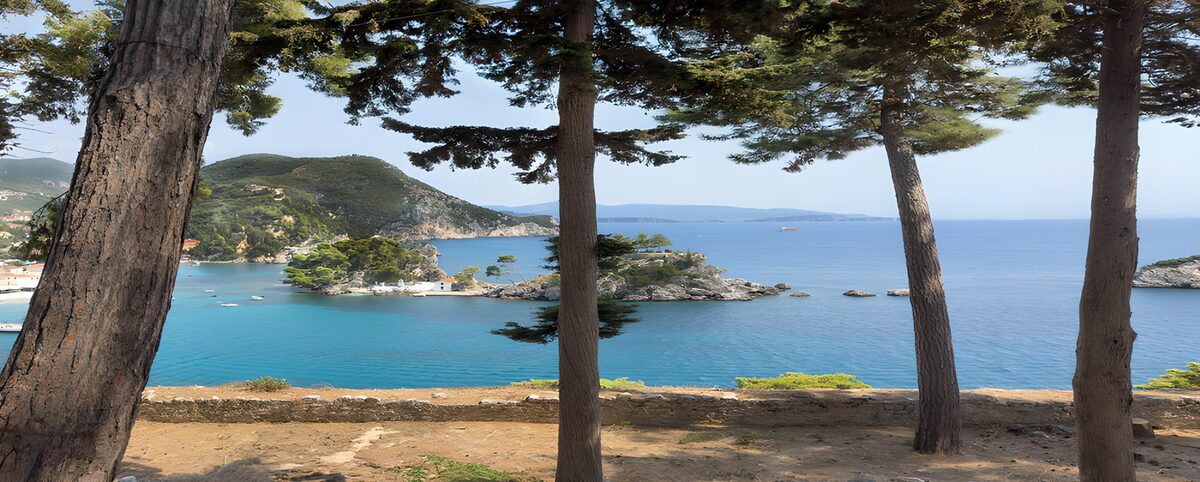 Bahía turquesa a la sombra de los pinos