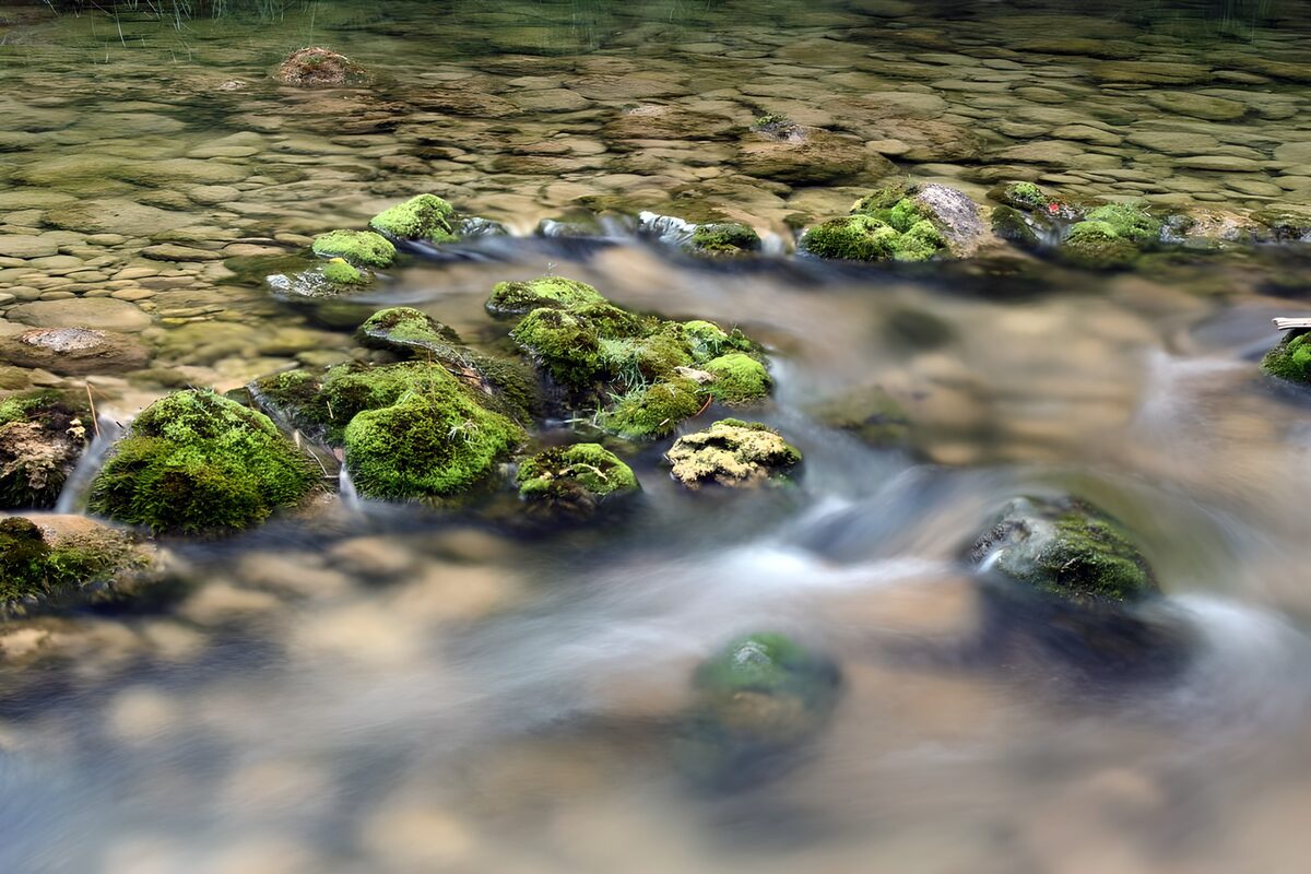 TPES63080: Arroyo entre rocas cubiertas de musgo