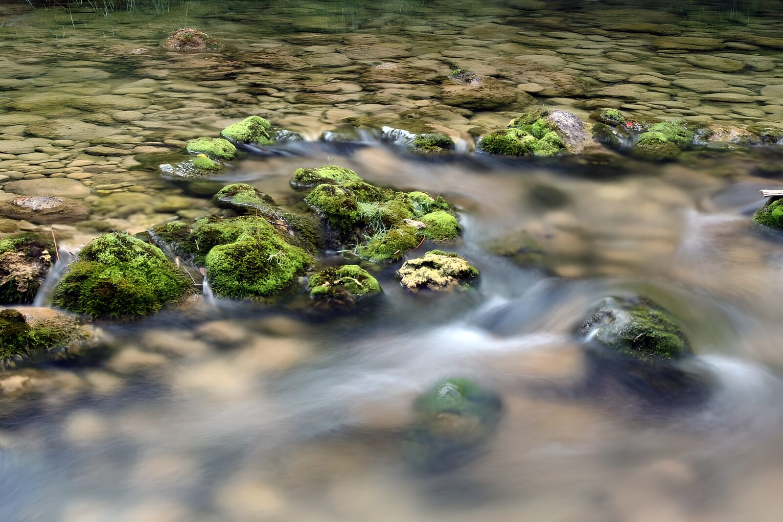 TPES63080: Arroyo entre rocas cubiertas de musgo