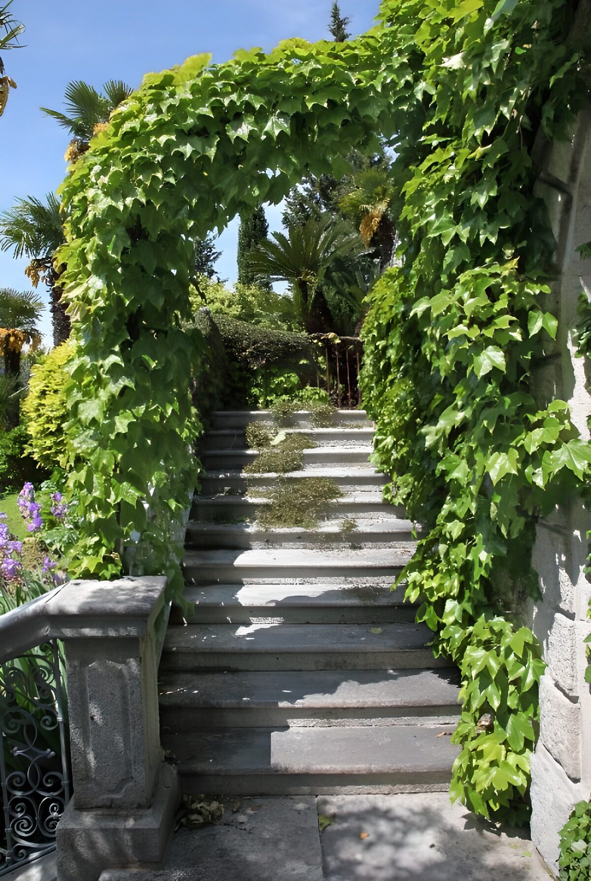 Escalera de piedra bajo un arco verde