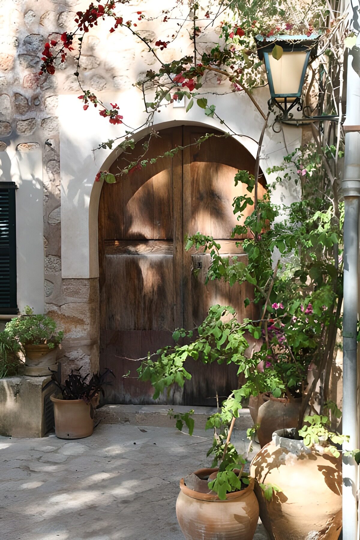 TPES41858: Puerta arqueada entre macetas y flores