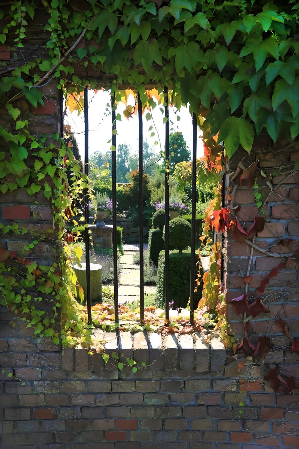 TPES92347: Jardín al sol tras una ventana enrejada