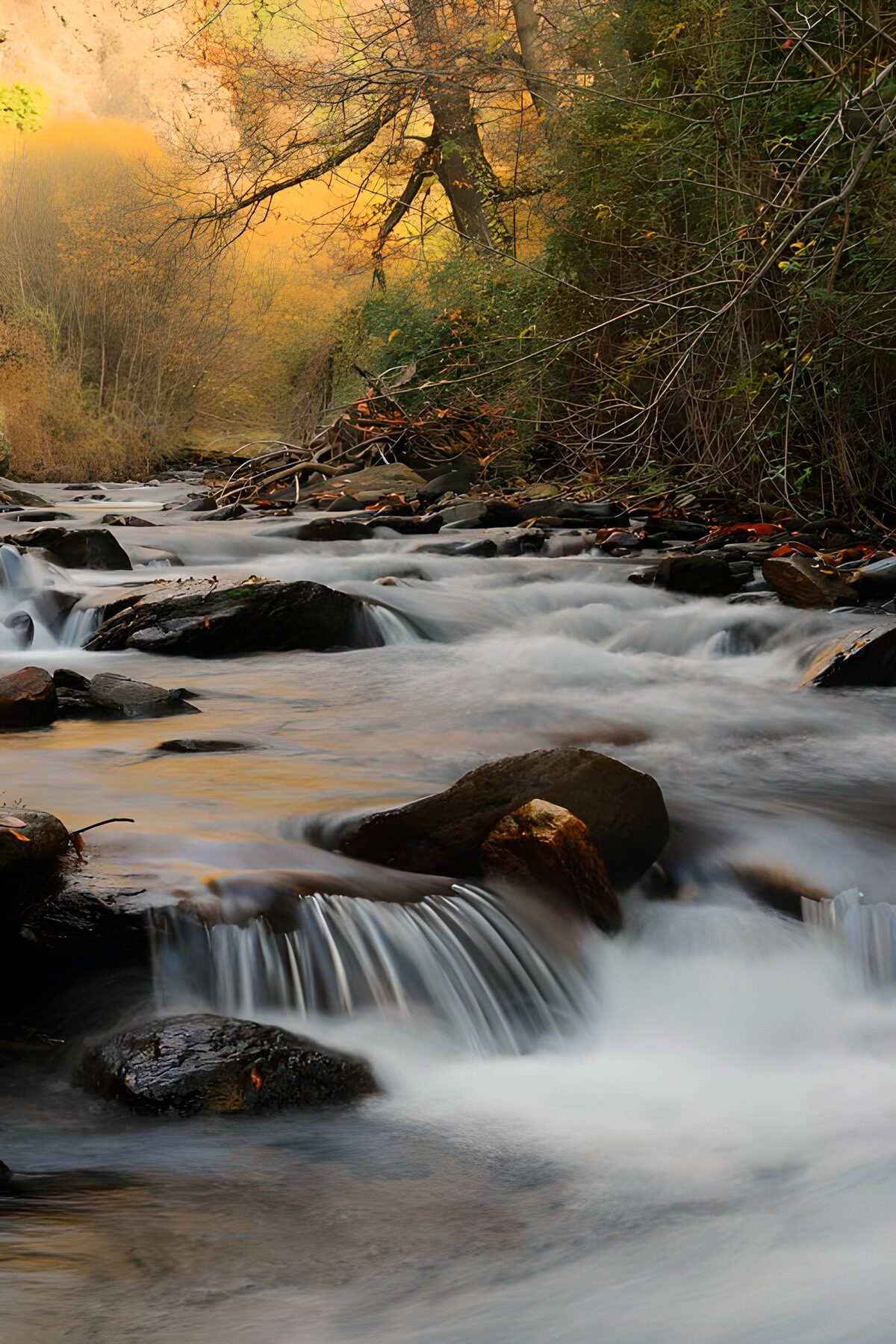 TPES19089: Arroyo entre rocas y luz de otoño