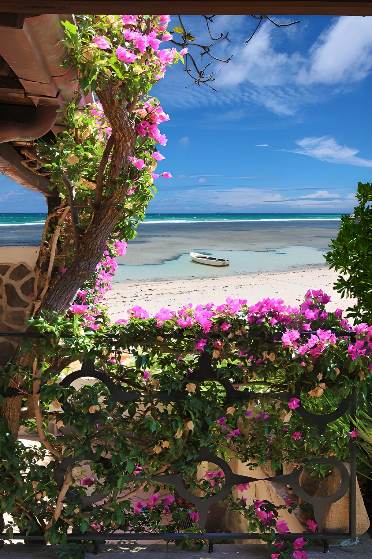 TPES57287: Playa turquesa entre buganvillas rosas