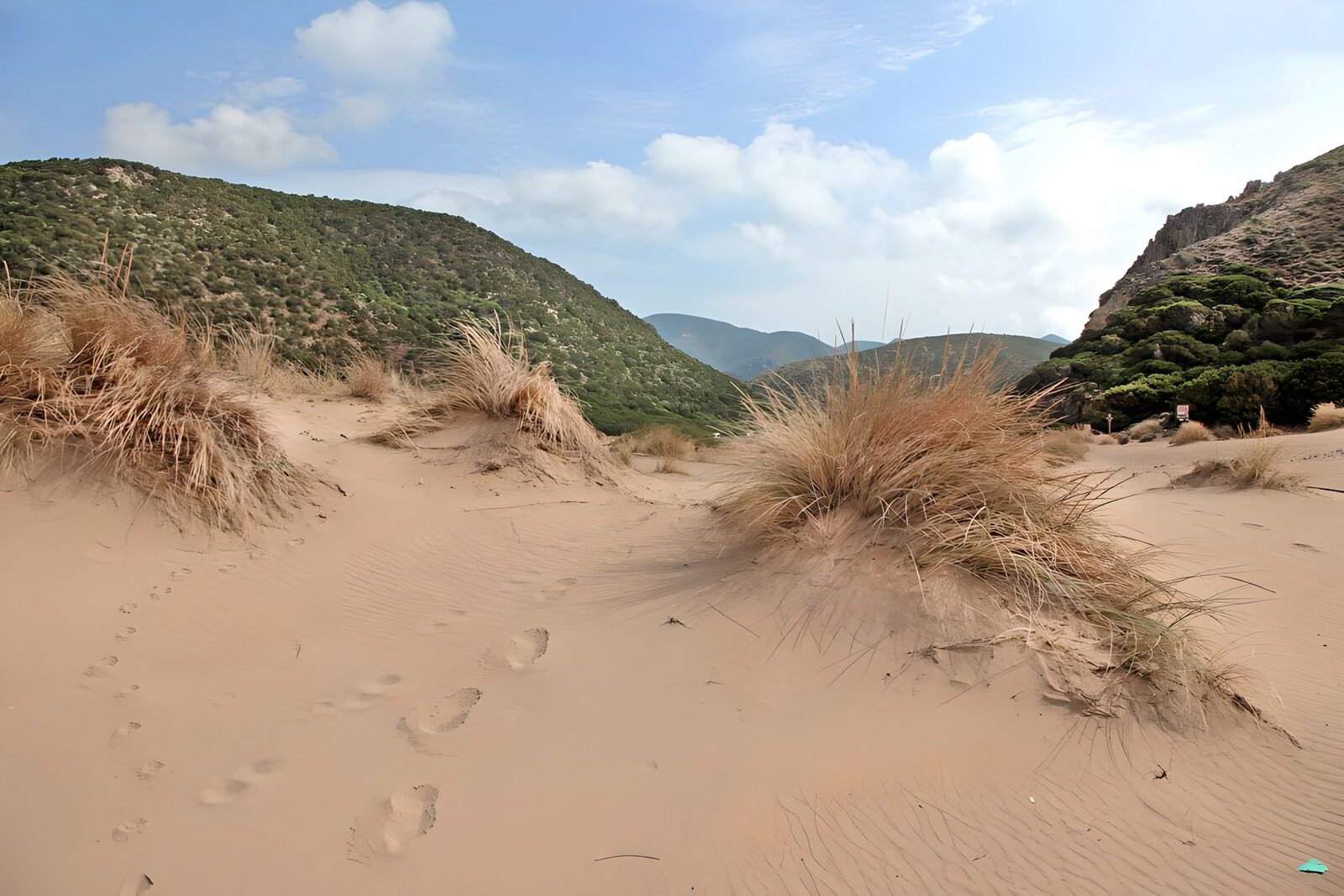 TPES85545: Dunas doradas entre colinas verdes