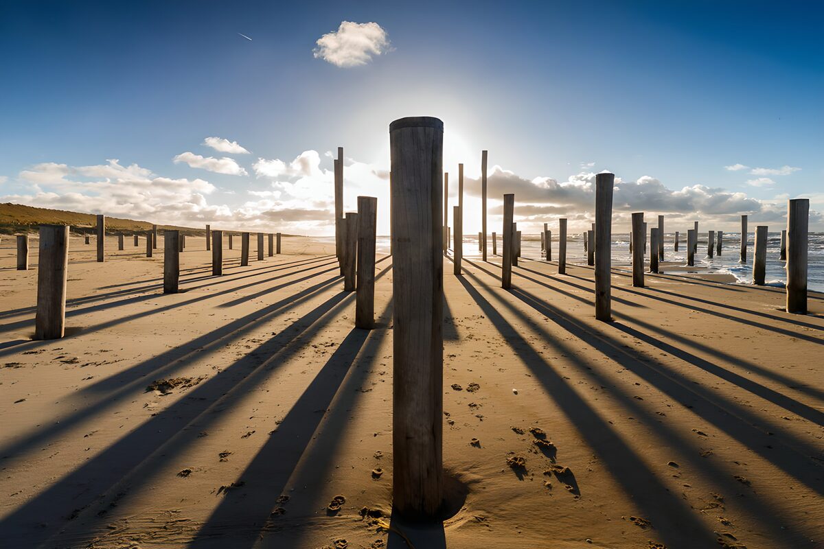 TPES38800: Postes de madera en la playa al sol