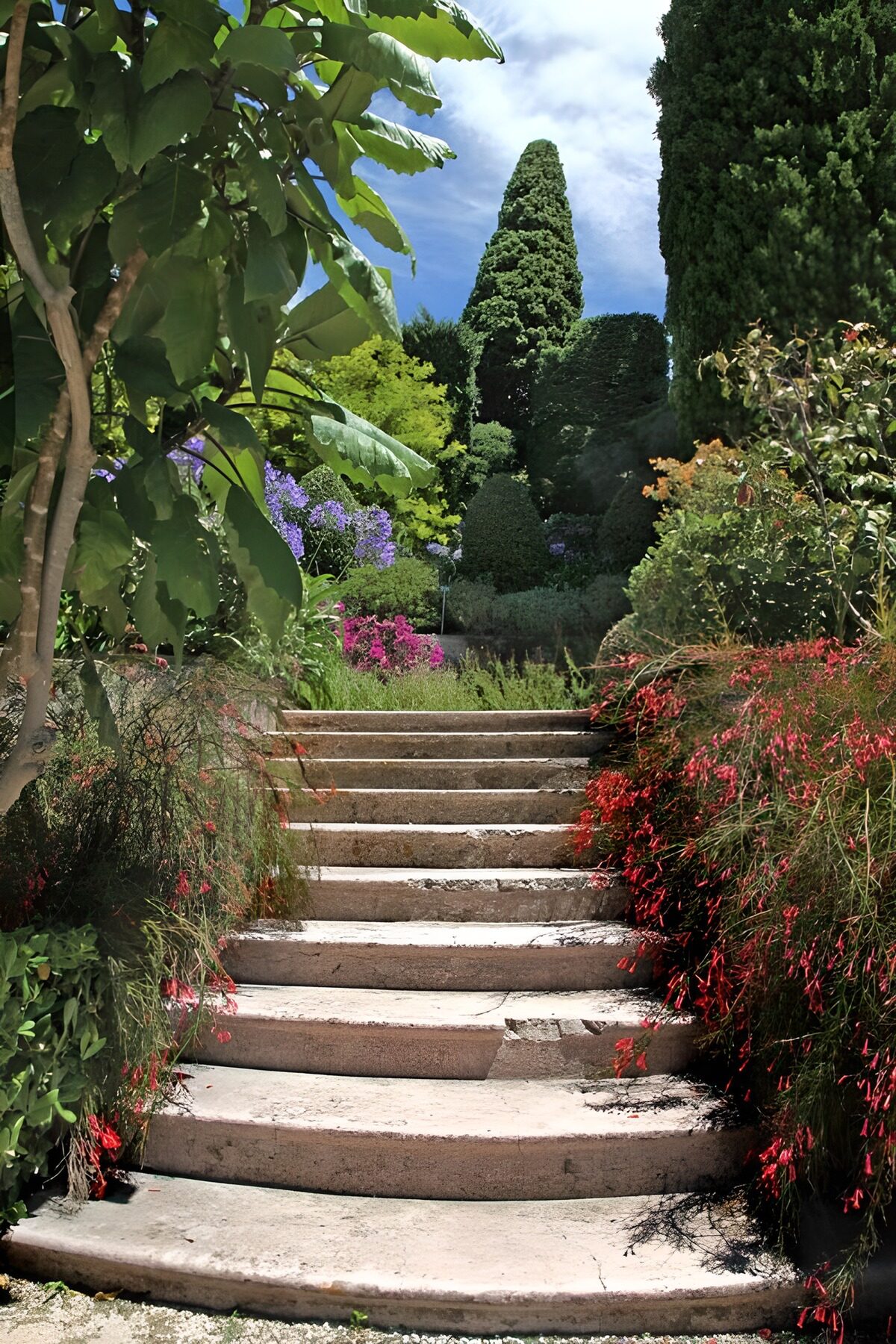 TPES53262: Escalera de piedra entre flores al sol