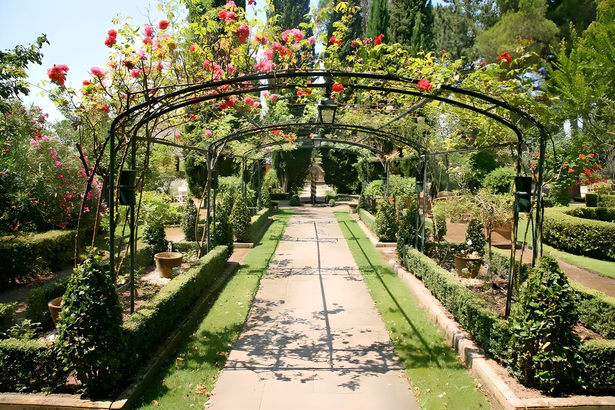 Arcos de rosas en un jardín soleado