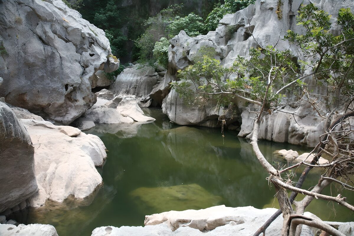 El verde descansa entre las rocas