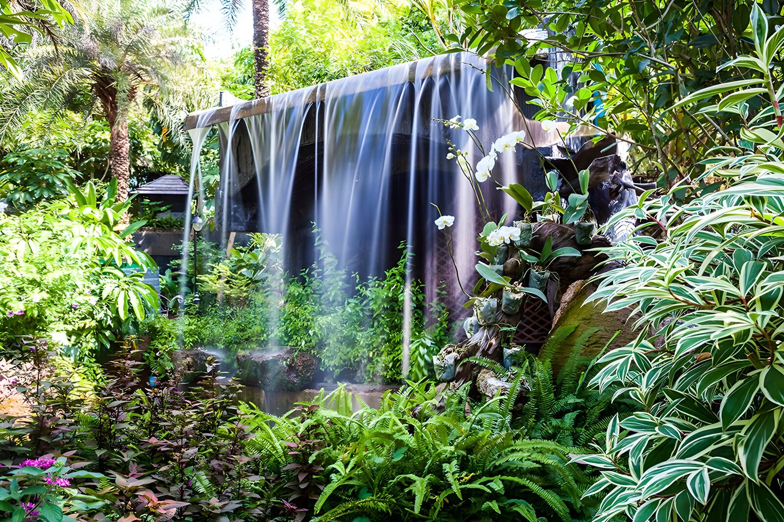 TPES82870: Cascada en un jardín tropical escondido