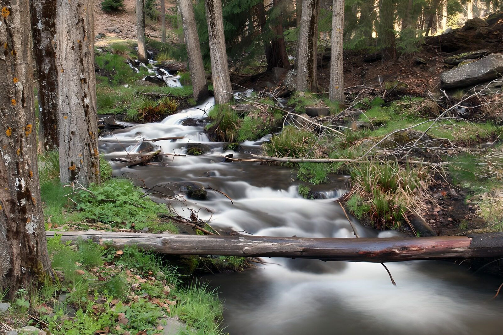 TPES70818: Arroyo entre rocas en la calma del bosque