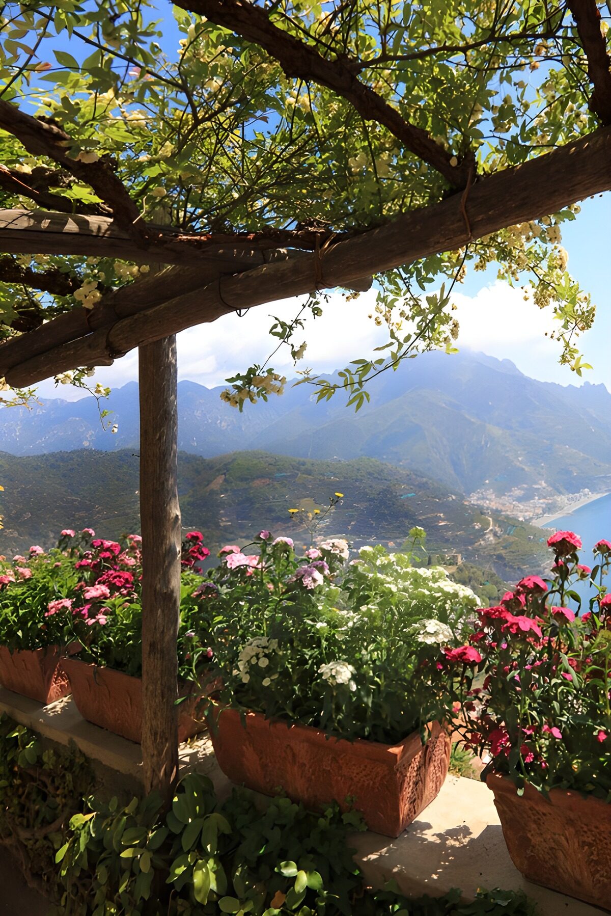 Terraza florida con vistas a las montañas