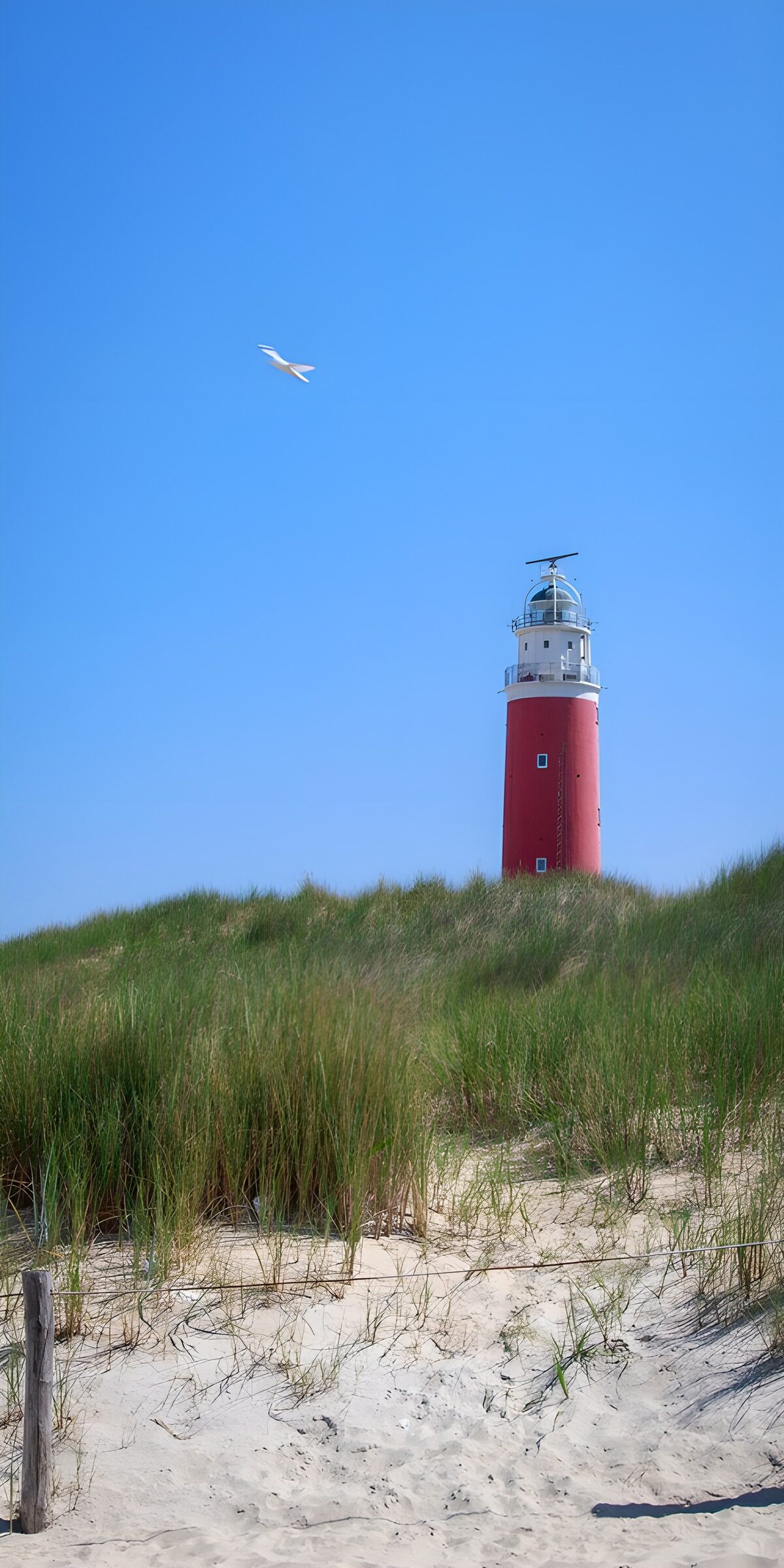 TPES70431: Faro rojo y blanco entre dunas