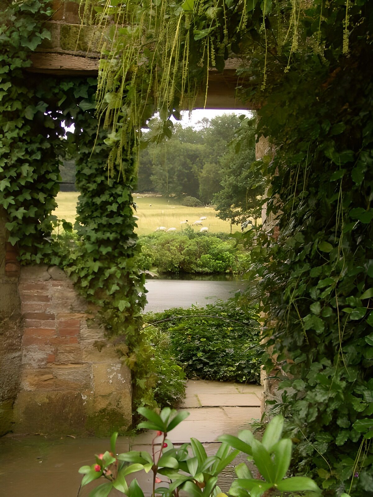 Jardín entre muros tomados por la hiedra
