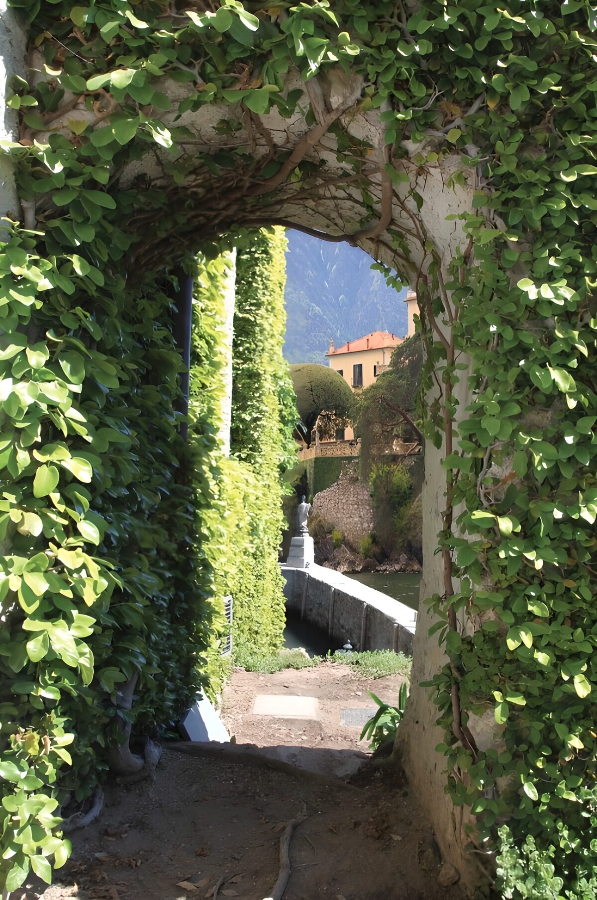Entre hojas, el jardín guarda su luz