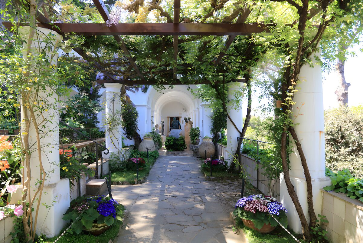 TPES46279: Columnas blancas bajo una pérgola florida