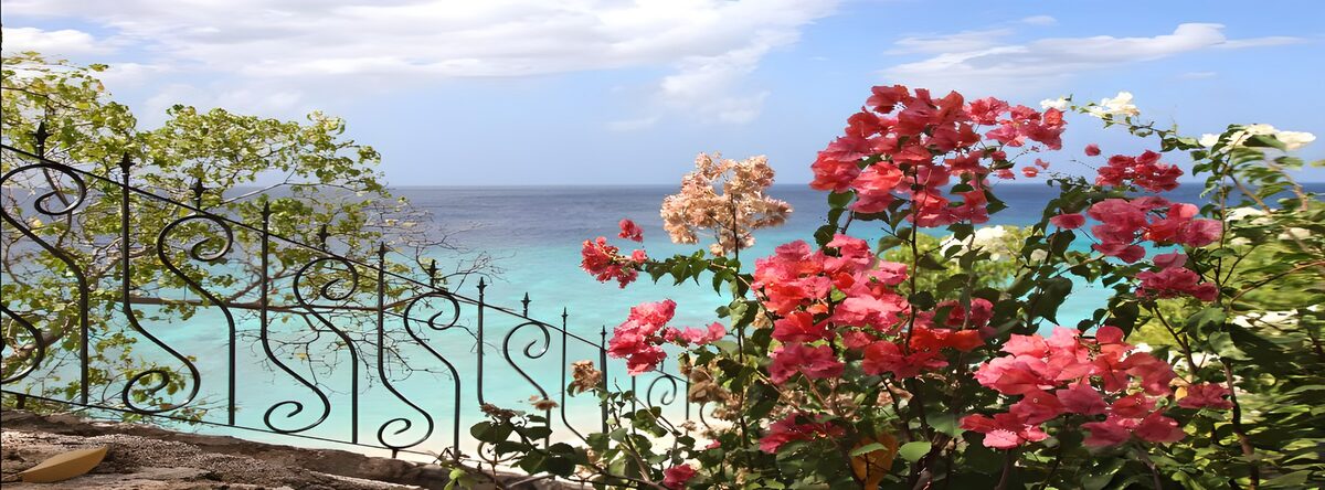 TPES96722: Buganvillas y mar turquesa al sol