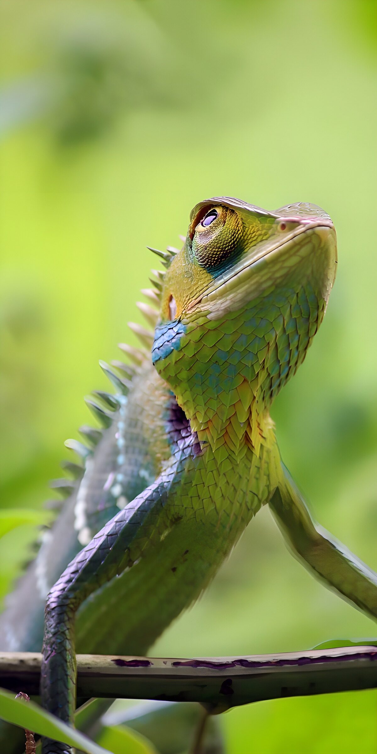 TPES76381: Lagarto verde de mirada alerta