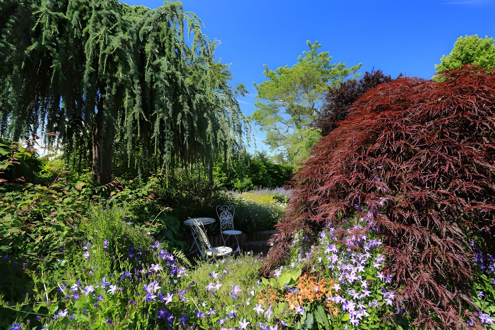 TPES76937: Jardín de flores moradas y sillas a la sombra