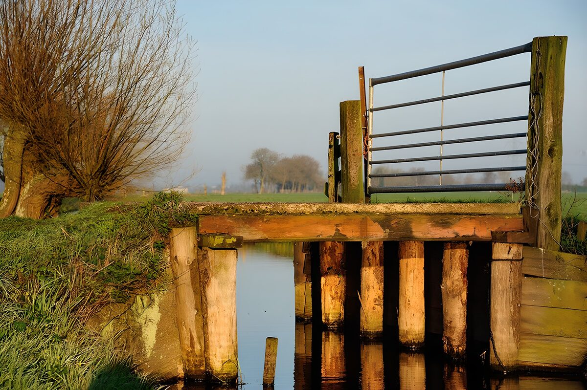Puente de madera con cancela al sol