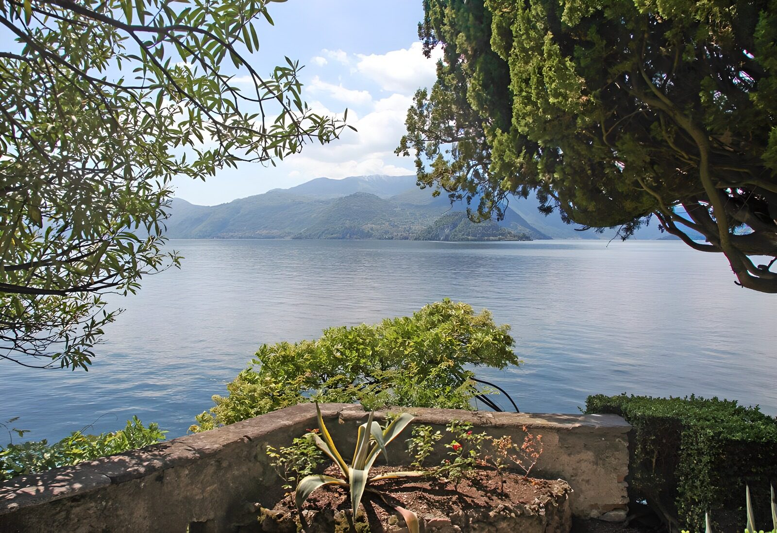 TPES54994: Lago entre árboles y montañas