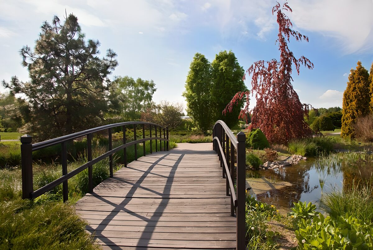 Puente de madera sobre un estanque en calma