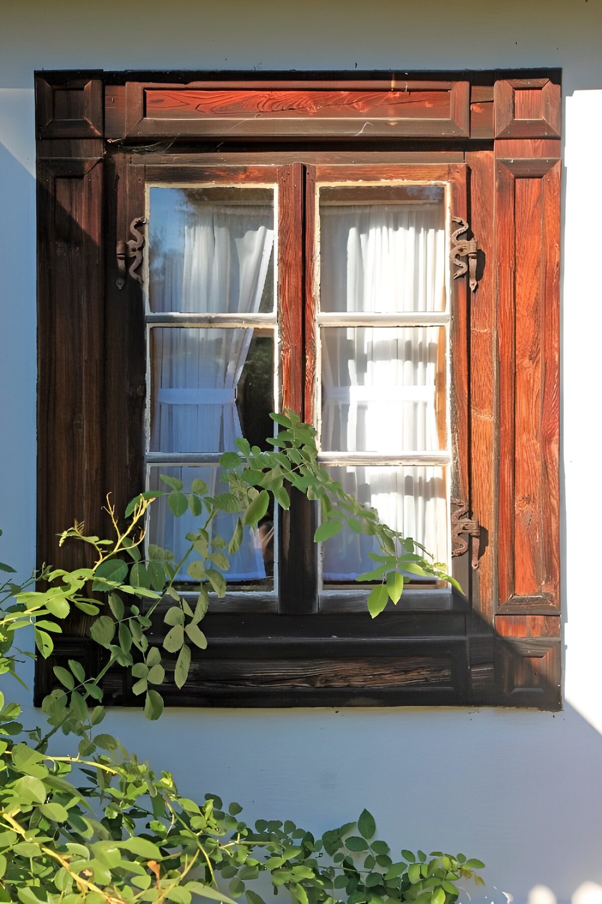 TPES34981: Ventana de madera entre ramas verdes