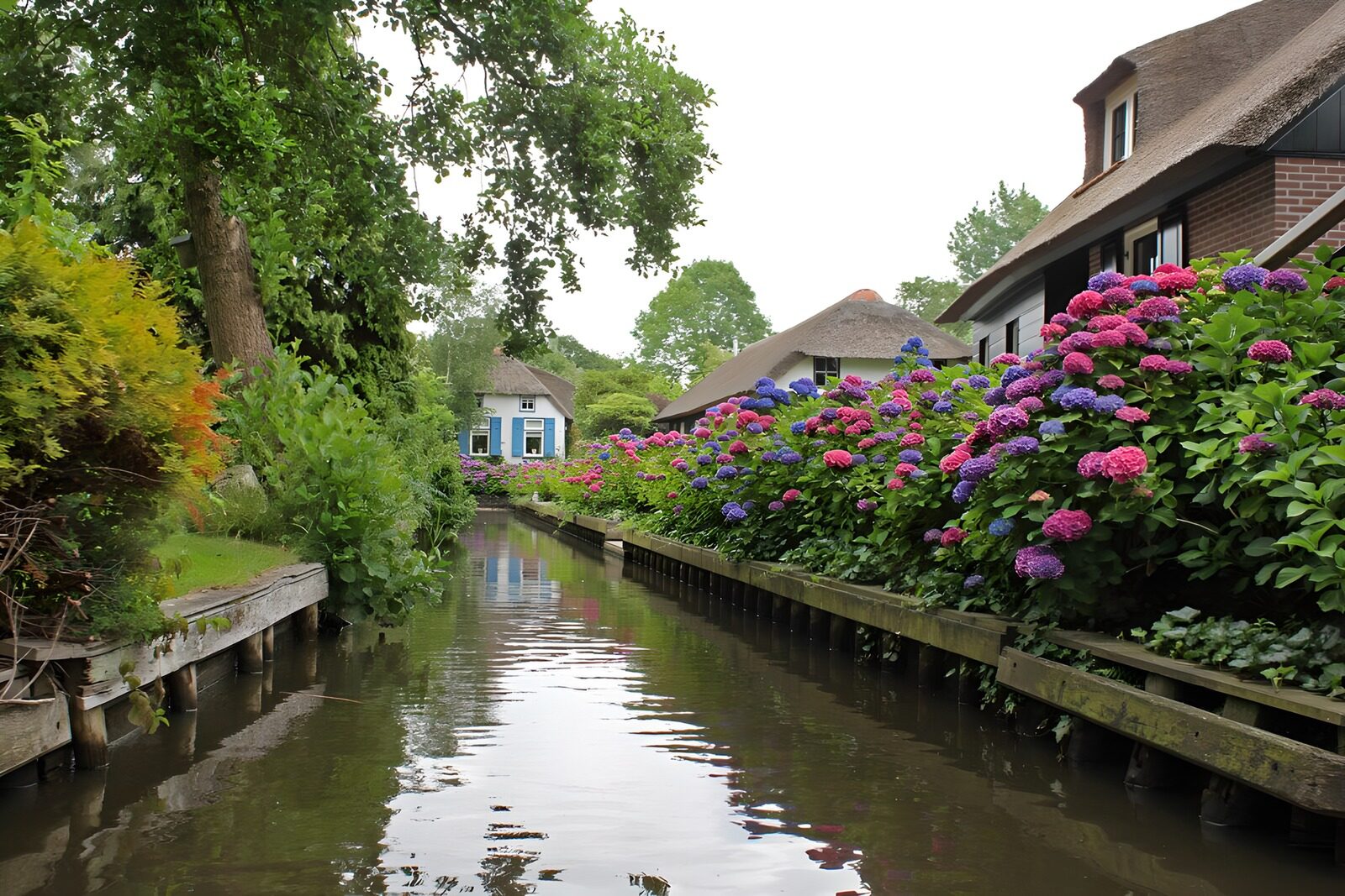 TPES67047: Canal entre casas y hortensias