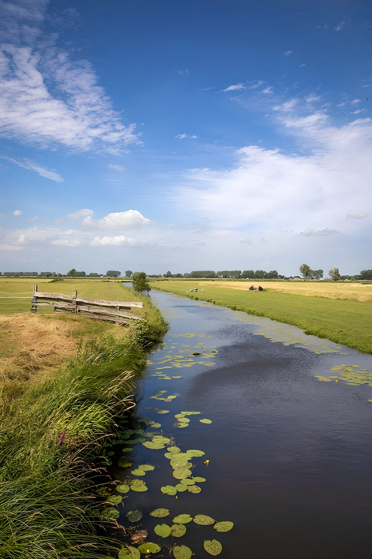 Canal entre prados bajo un cielo azul