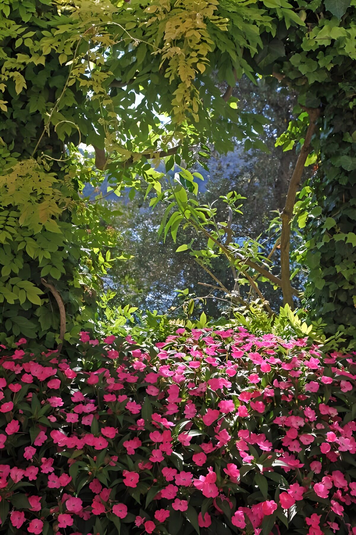 Flores rosas entre un verde frondoso