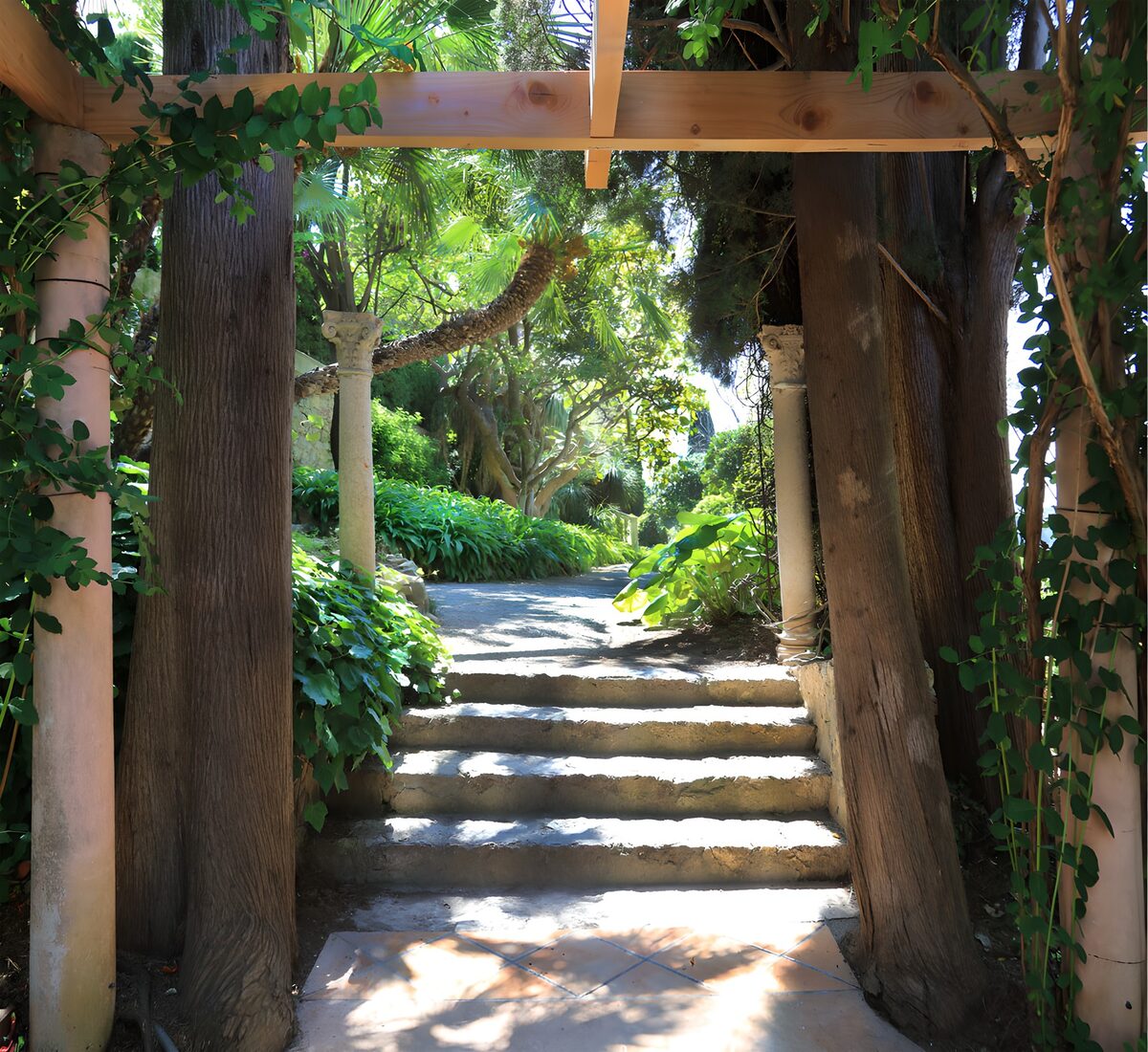 TPES94204: Escalones bajo la pérgola del jardín