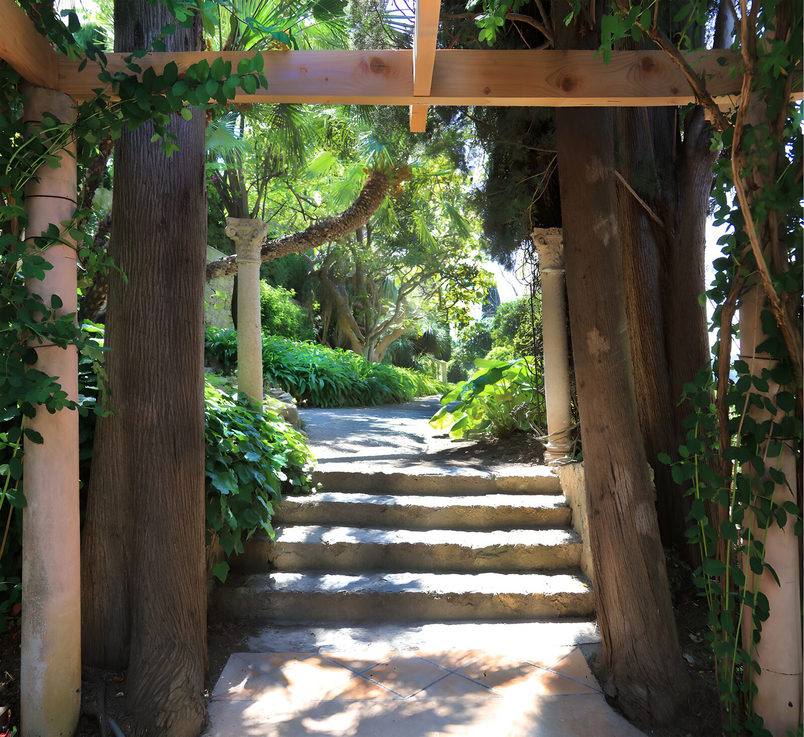 TPES94204: Escalones bajo la pérgola del jardín