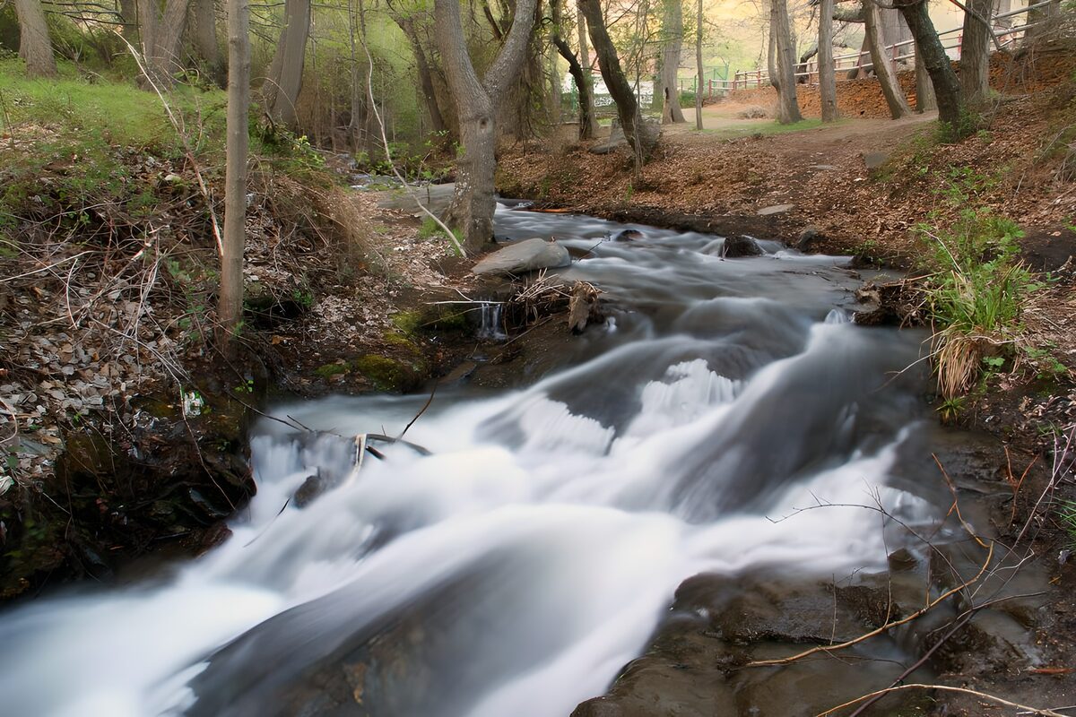 Arroyo entre rocas a la sombra del bosque