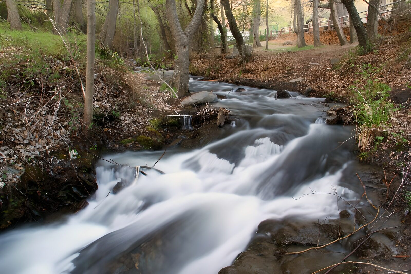 TPES18489: Arroyo entre rocas a la sombra del bosque