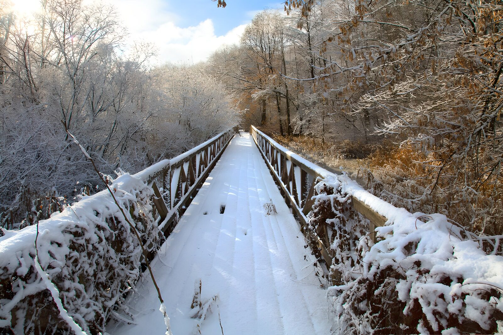 TPES78912: Pasarela de madera bajo la nieve