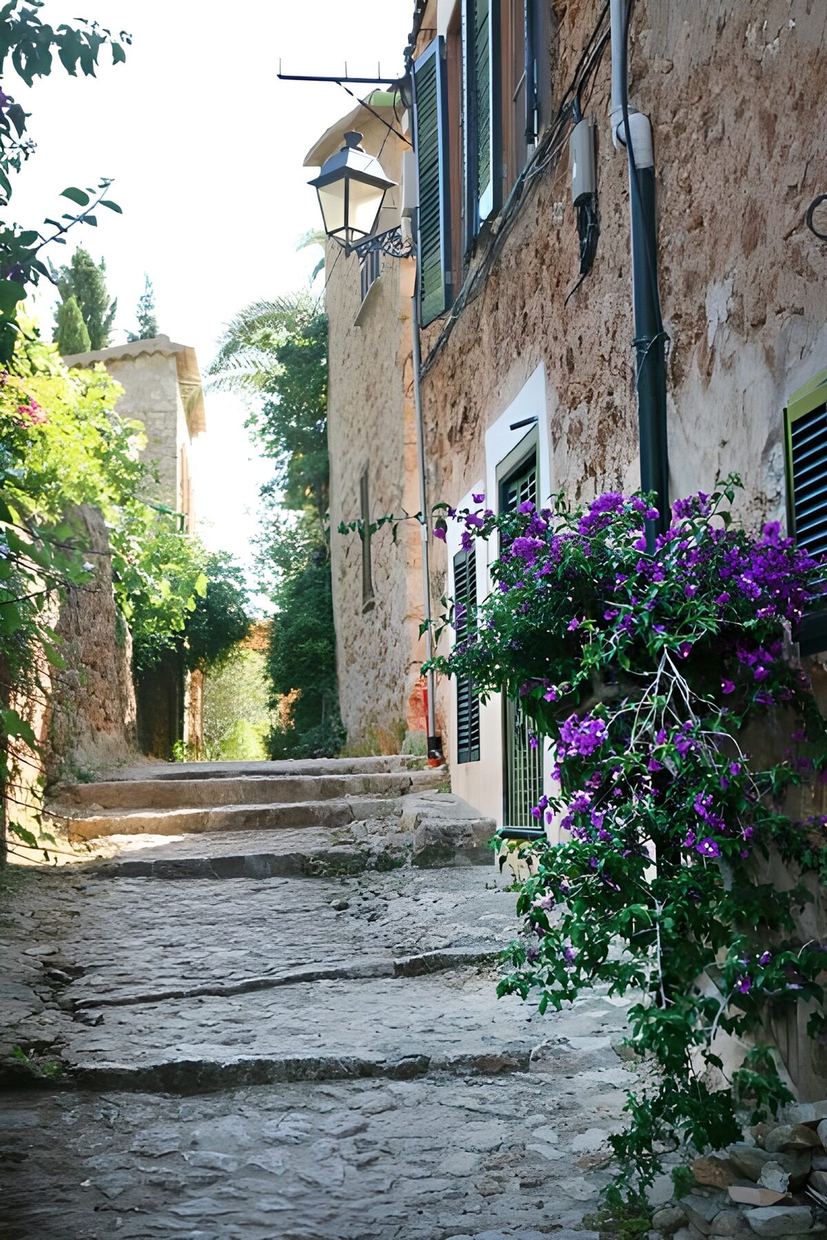 Callejón de piedra con flores moradas