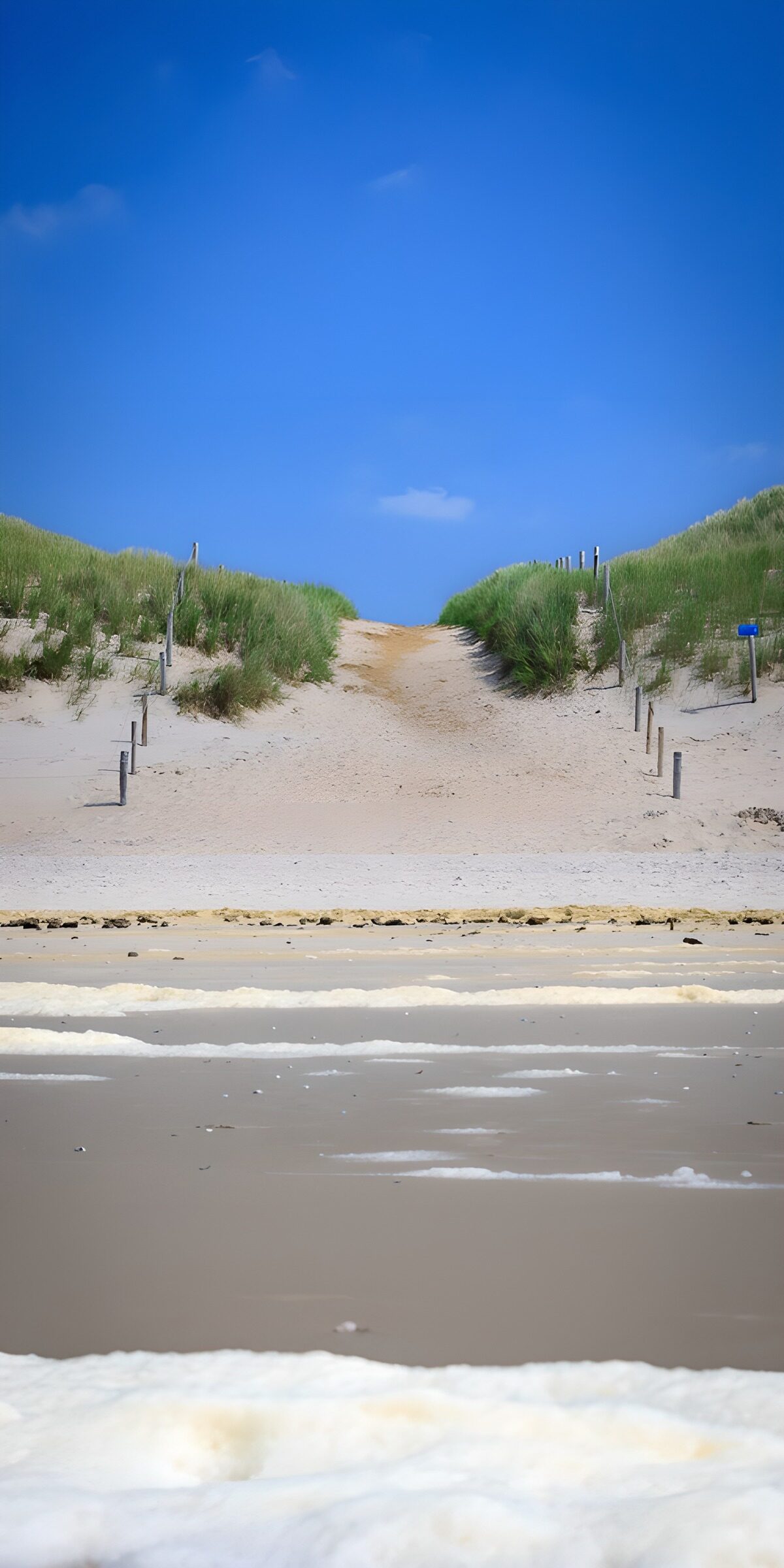 TPES43486: Playa y sendero entre dunas