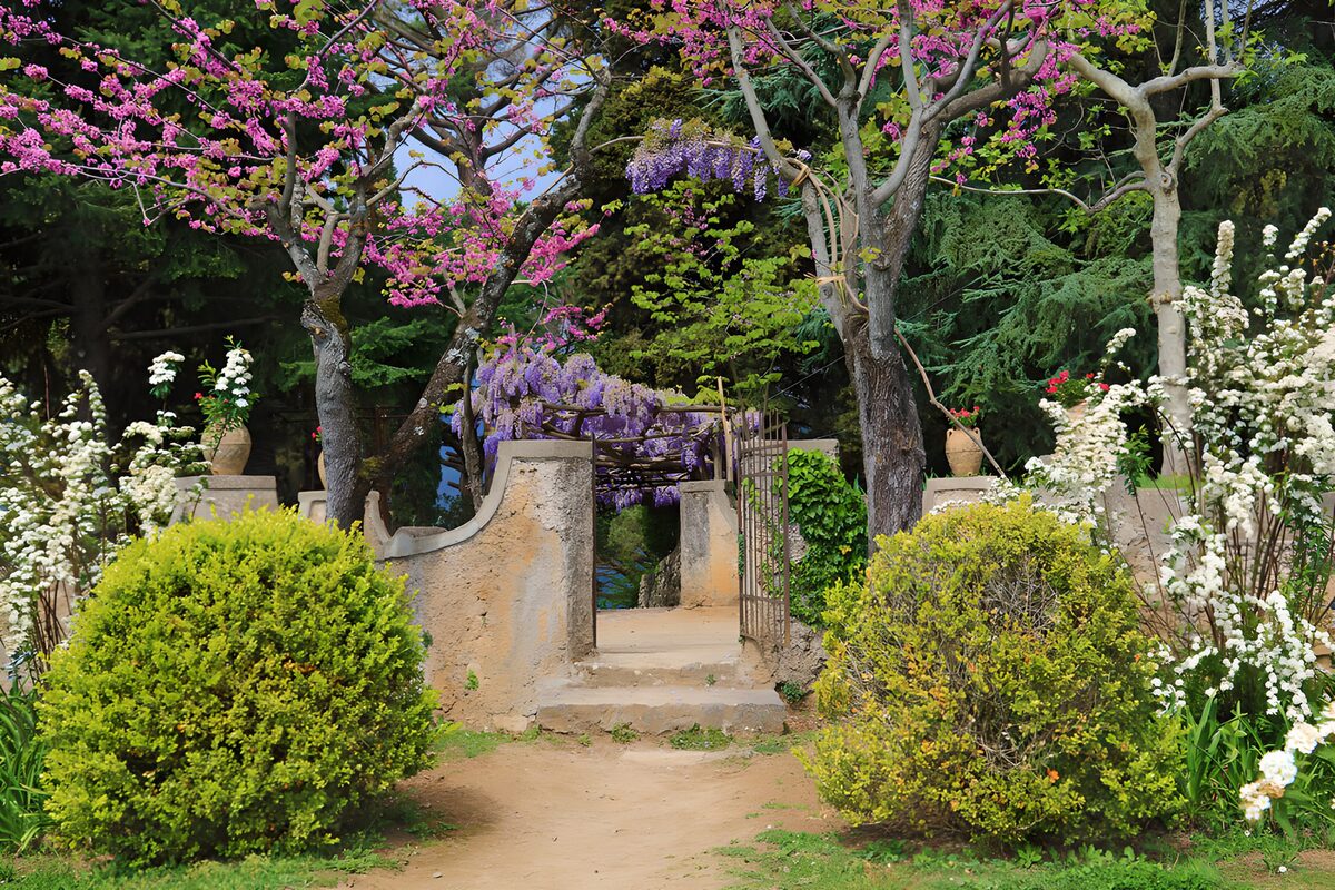 TPES34603: Puerta abierta entre flores y verdor