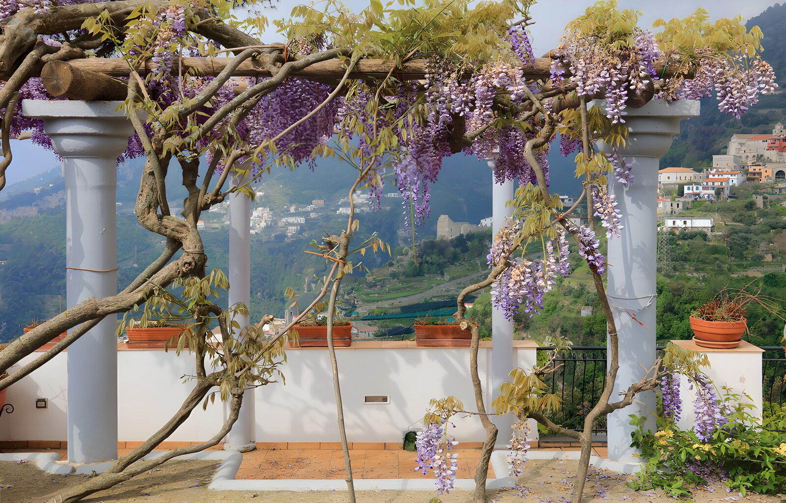 TPES79134: Pérgola de glicinas con vistas al valle