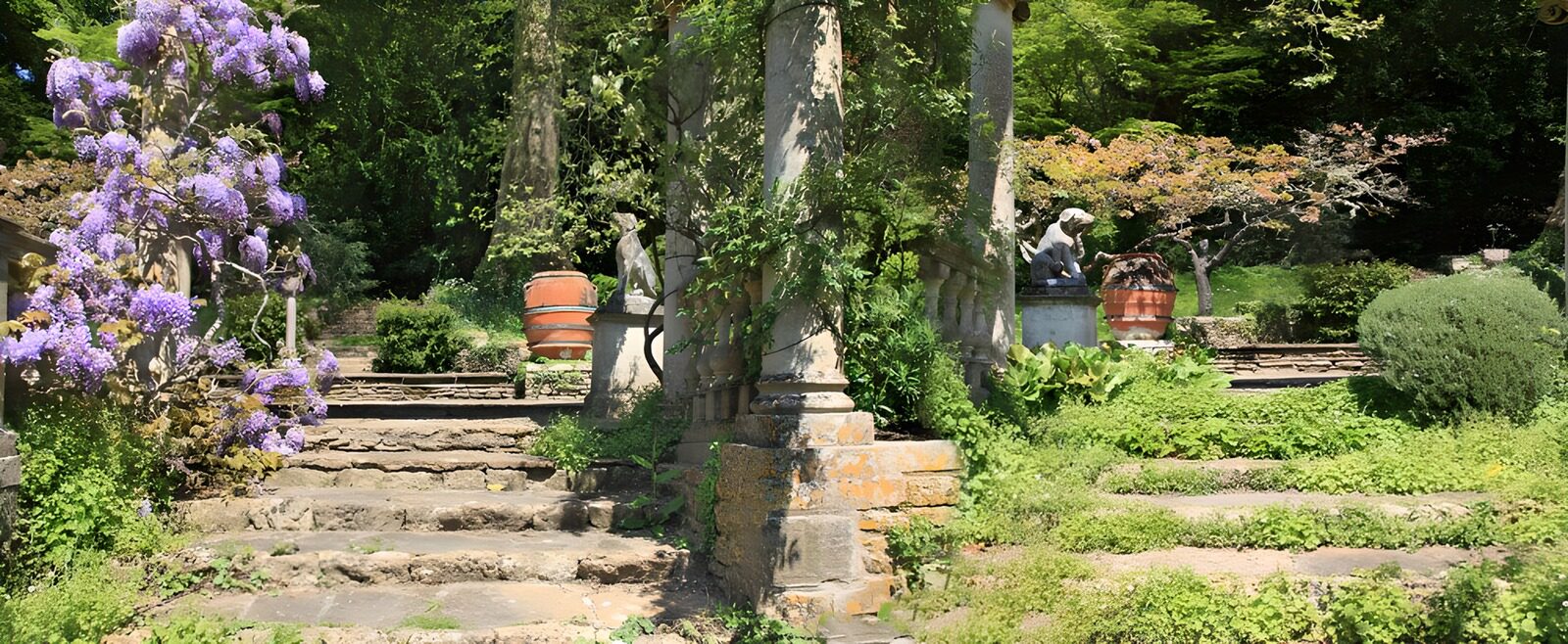 TPES68272: Escaleras y glicinias en un jardín en terrazas